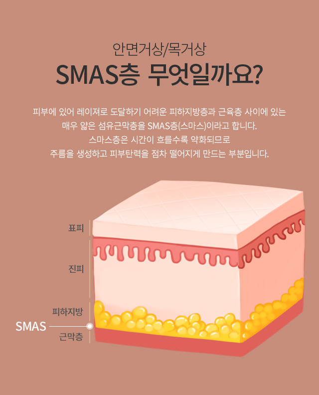 �ȸ� �Ż��