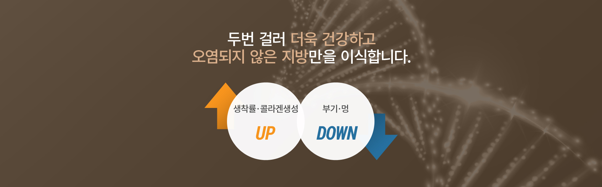 �����̽�