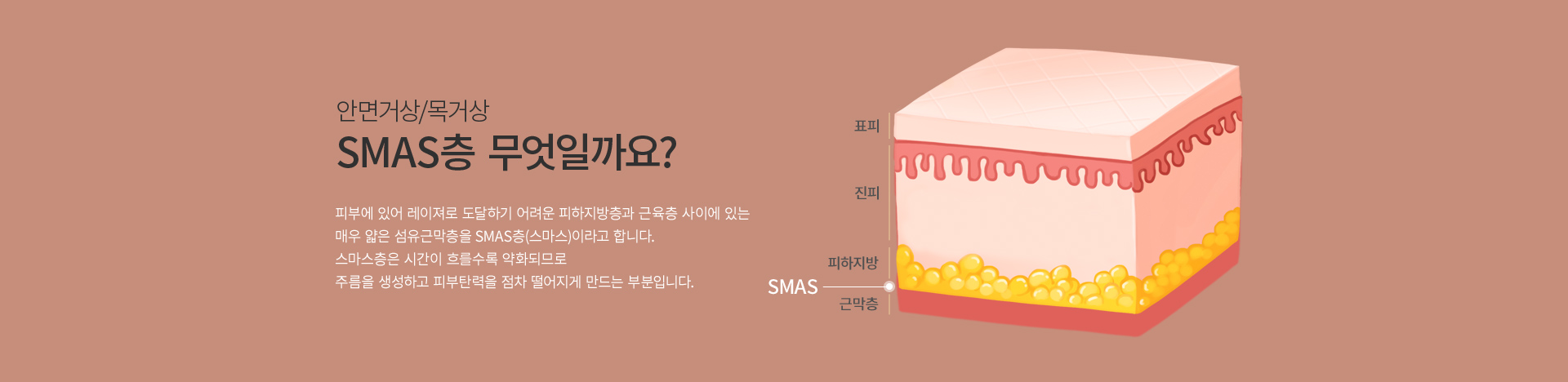 �ȸ� �Ż��