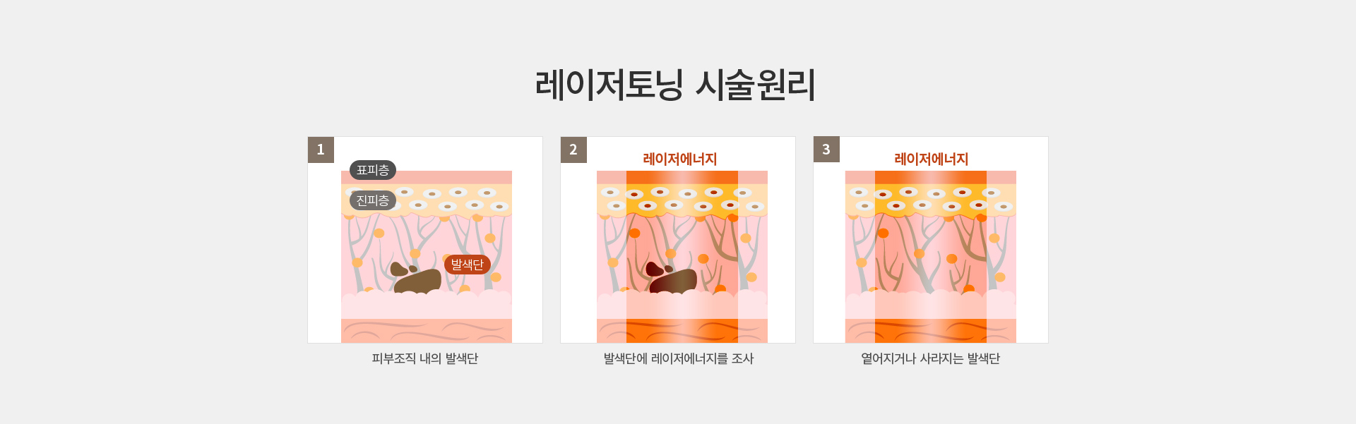 ������ ���