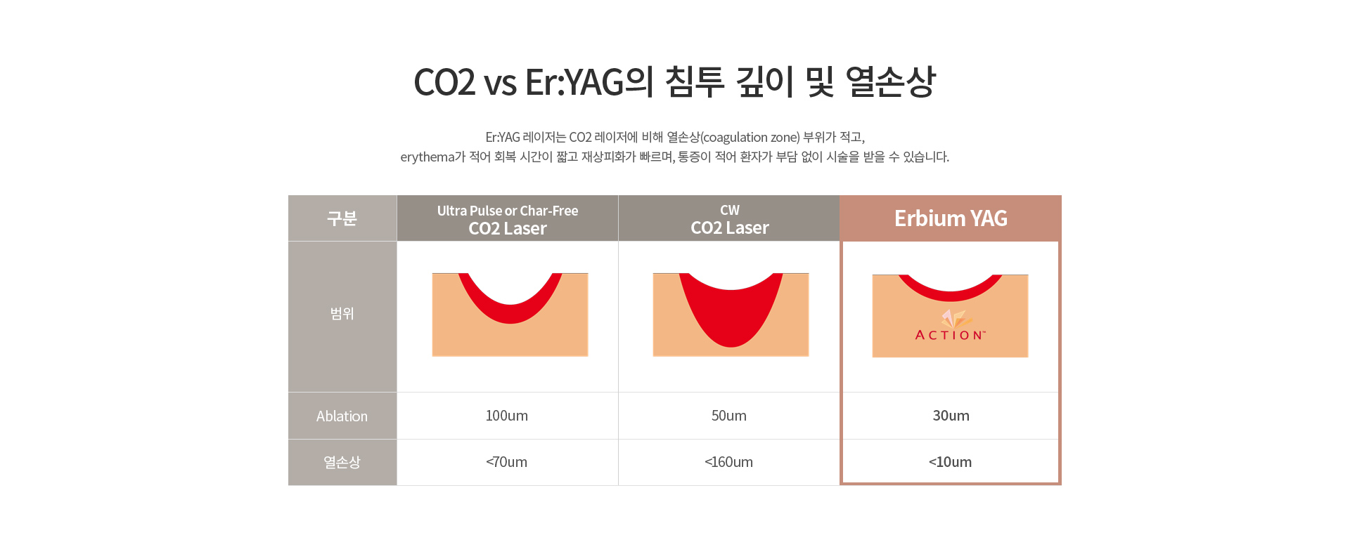 �׼�2 ������